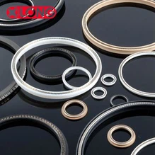 Guarnizione energizzata a molla in PTFE caricato con fibra di vetro