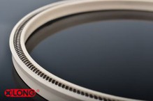 Tenuta meccanica energizzata da molla in PTFE