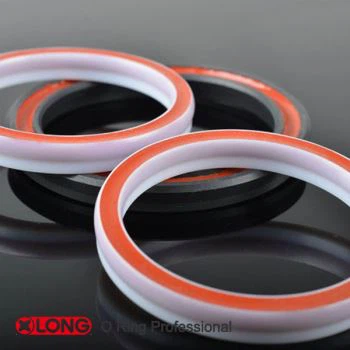 PTFE con guarnizione igienica in silicone di riempimento