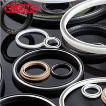 Tenuta dell'albero energizzato a molla in teflon a basso attrito