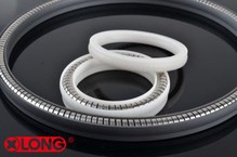 Guarnizione ad albero radiale PTFE